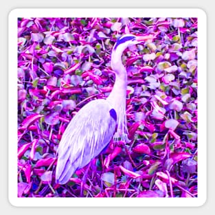 Tropical Exotic Bird Florida Wildlife Psychedelic Nature Sticker